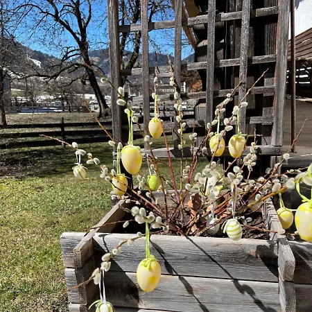 Barbara - Wil611 By Interhome